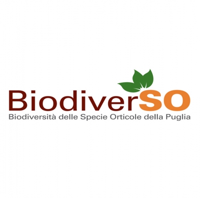BiodiverSO