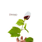 divino_logo