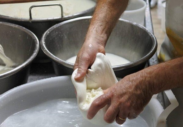 dairy-immagine dairy-immagine